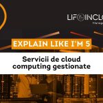 Explain like I’m 5: Servicii de cloud computing gestionate
